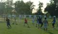 partido en accion